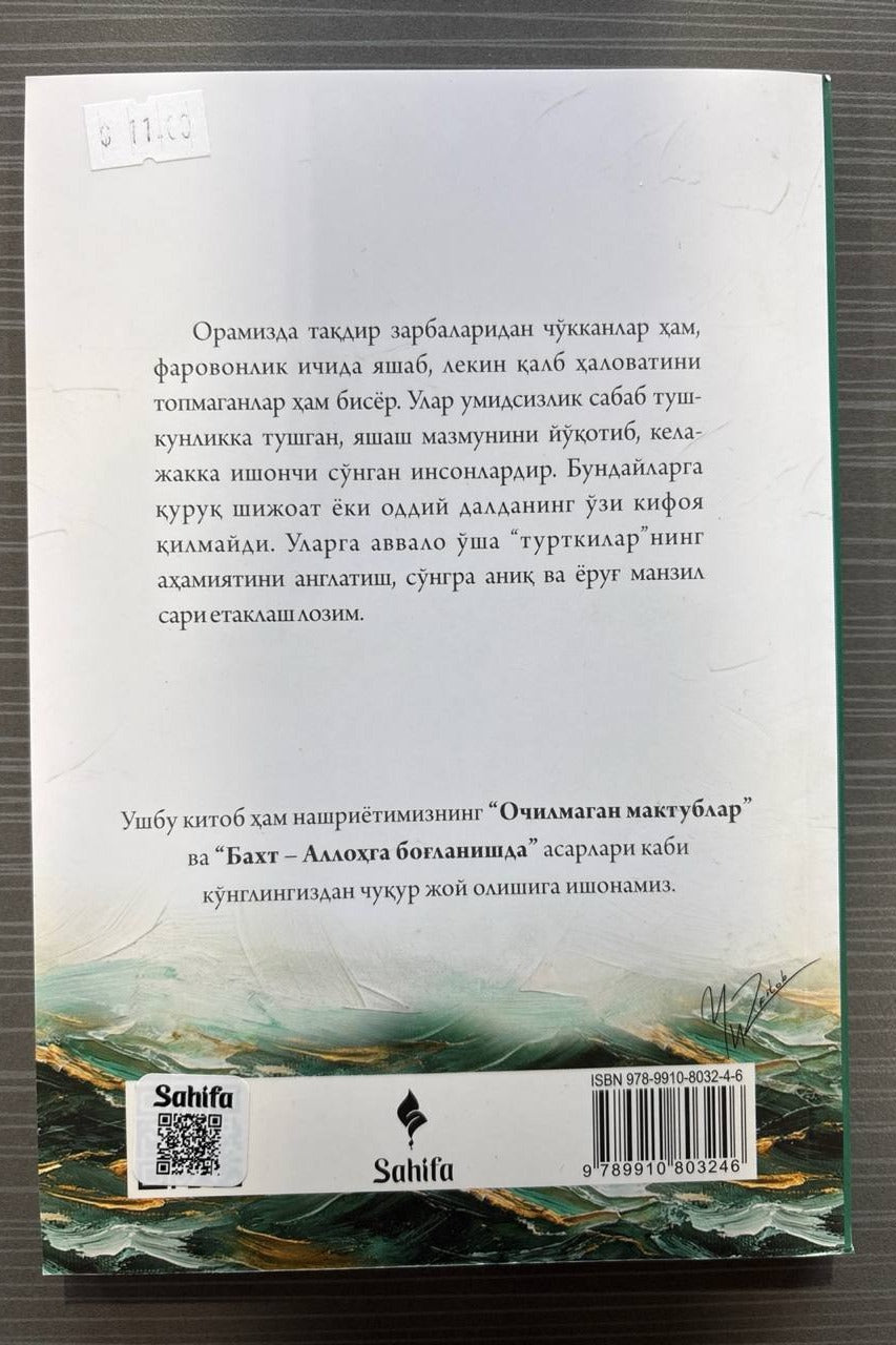 Mayoq sari – orqa muqova