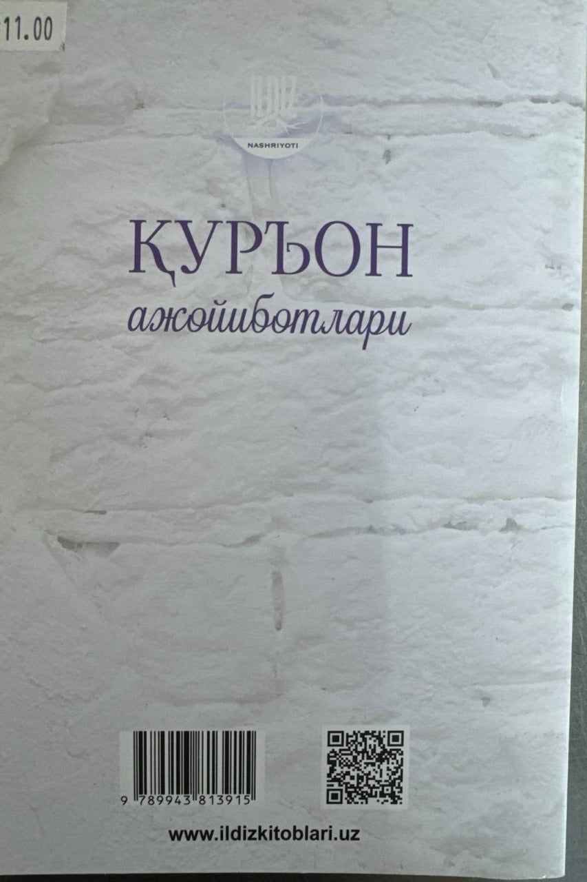 Qur'on Ajoyibotlari orqa muqova — Ildiz