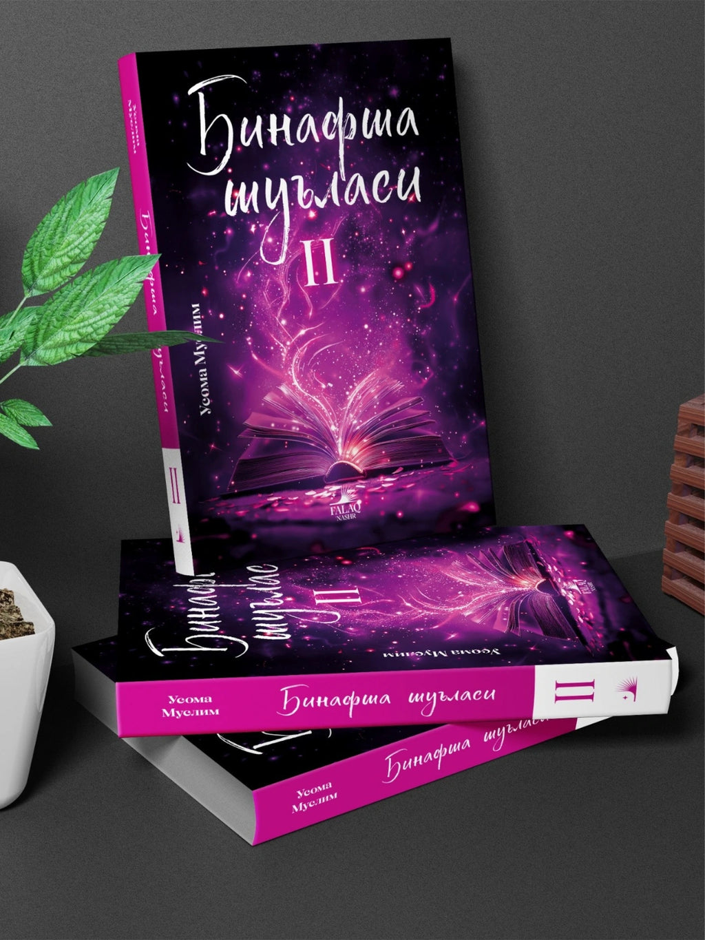 Binafsha Shu'lasi 2 | Бинафша Шуъласи 2